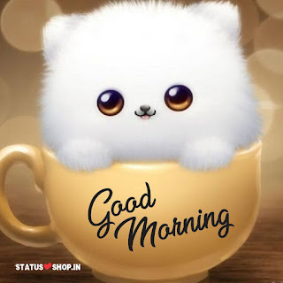 Good-Morning-Whatsapp-DP