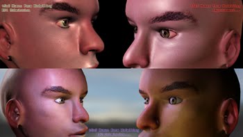 Anatomy Reel