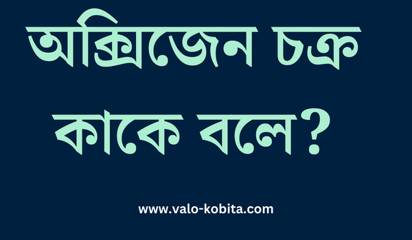 অক্সিজেন চক্র কাকে বলে?