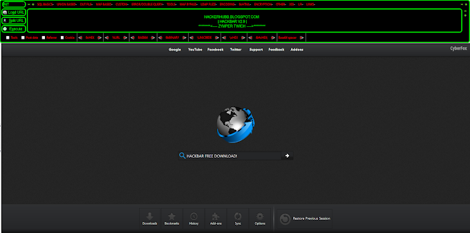 CyberFox HackBar v2.9