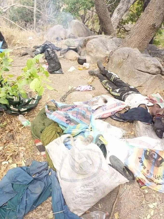 Adamawa police bust criminal syndicate, neutralize two, rescue 4 abducted persons