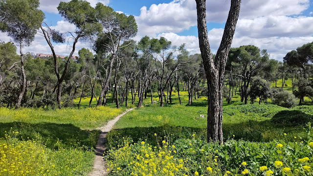 Casa de Campo