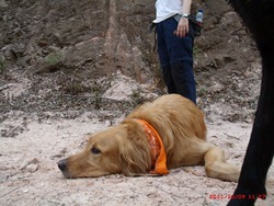 Trekking 2 (135_1) (1)