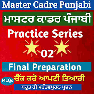 Master Cadre Preparation - Top 25 Questions Punjabi Litrature