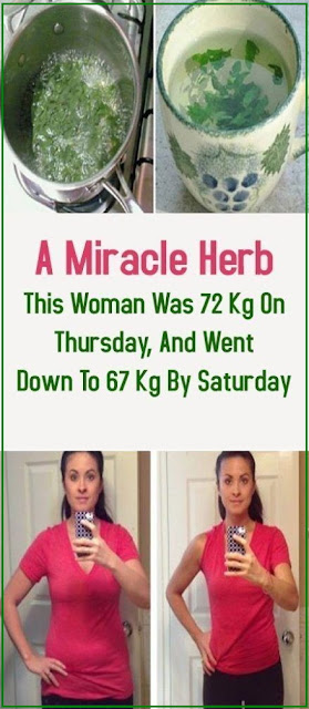 A Miracle Herb: This Woman Was 72 Kg On Thursday, And Went Down To 67 Kg By Saturday !!!