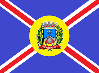 Bandeira de Perdigão MG