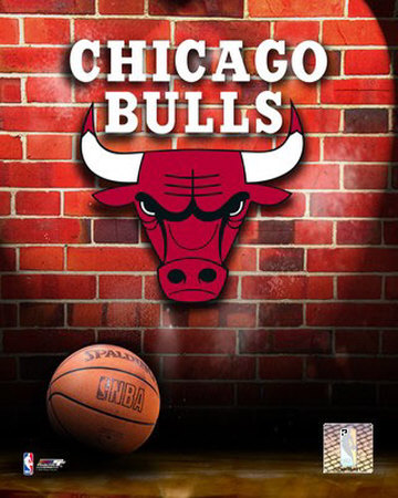 chicago bulls logo black. chicago bulls logo black ops.