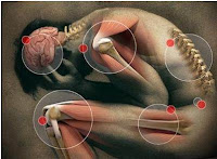 Resultado de imagen para salud y ergonomÃ­a