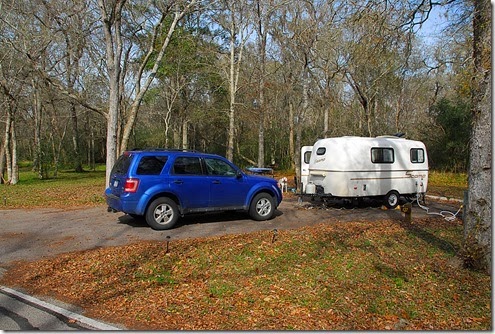 Brazos Bend_137