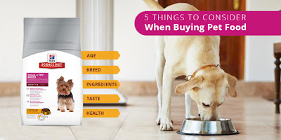 5 Things To Consider When Buying Pet Food