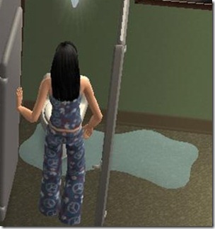 ScreenShot001