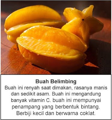 manfaat buah belimbing untuk kesehatan