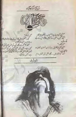 Din niklata nahin by Nuzhat Shbana Haider Online Reading