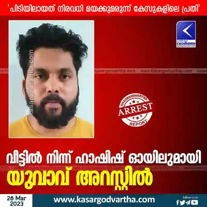 News, Kerala, Kasaragod, Top-Headlines, Crime, Arrested, Drugs, Youth arrested with hashish oil.