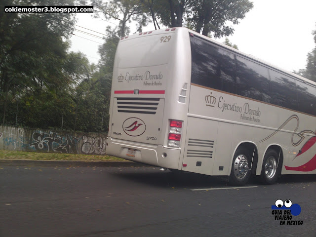 Pullman de Morelos Ejecutivo Dorado