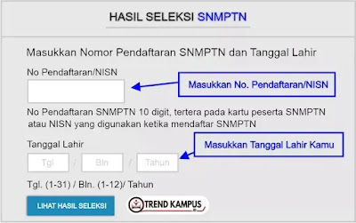 Cara Melihat Pengumuman SNMPTN 2022/2023 (di Situs Resmi dan Laman Mirror PTN)