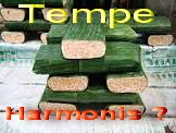 mendeteksi keharmonisan dengan tempe