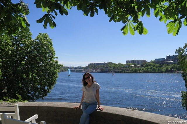  excellent spot to enjoy views of Stockholm