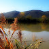 Natural Park of Montemarcello
