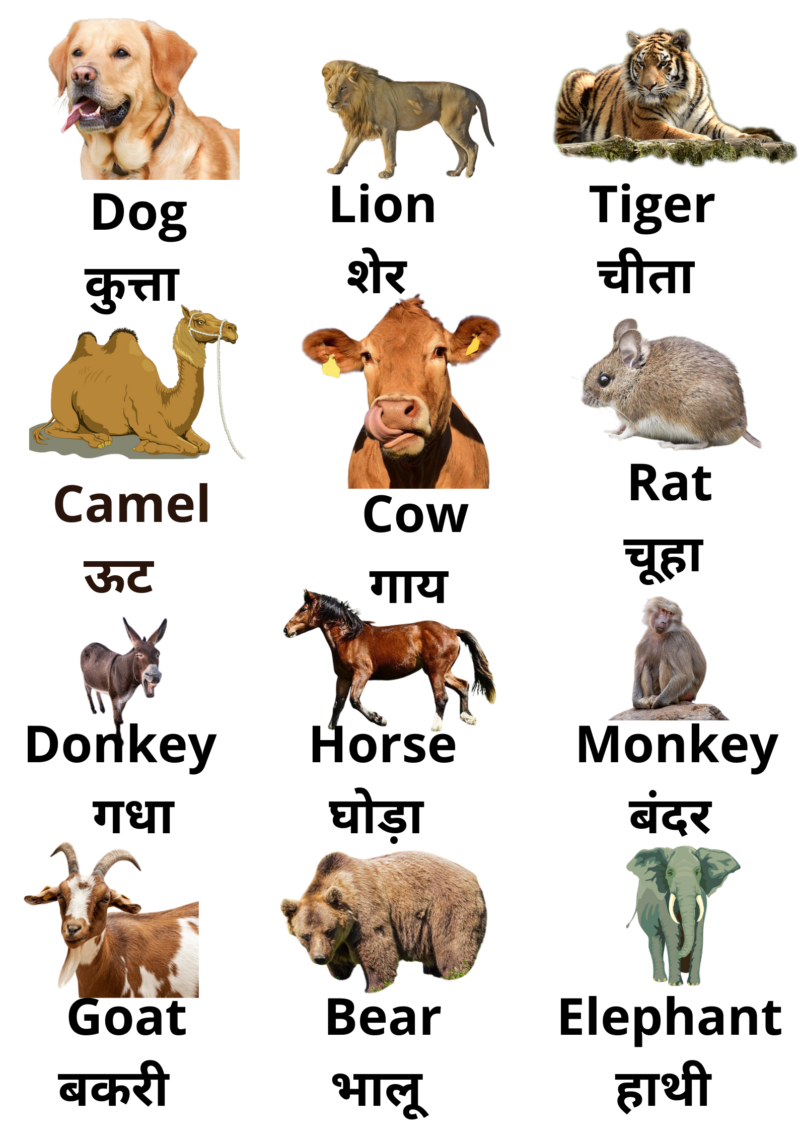 20 जानवरो के नाम : wild animals name in hindi