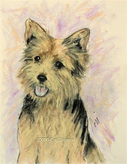 Soulmate - Norwich Terrier by Cori Solomon