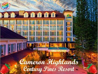 Cameron Highlands 4 Stars hotels