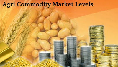 Agri Commodity Tips