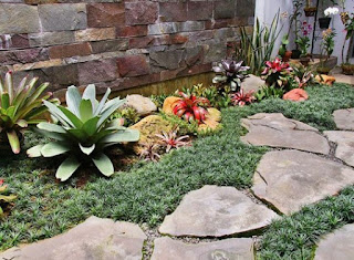 Taman dengan bunga bromelia