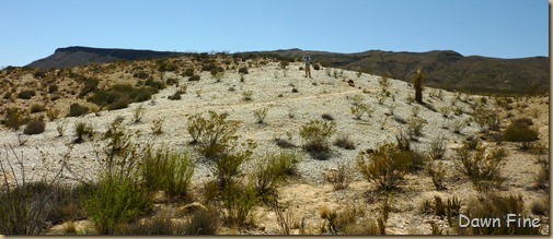 Crystal trail_033