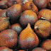 Health Benefits of Salak (Snake Fruit) for Beauty and your body