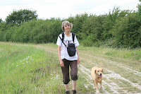 Walking with my dog on a campsite