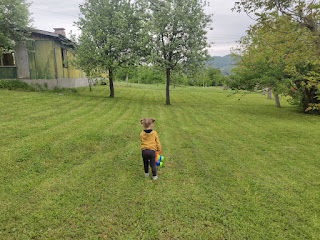 Rosie helping Daddy to mow the lawn