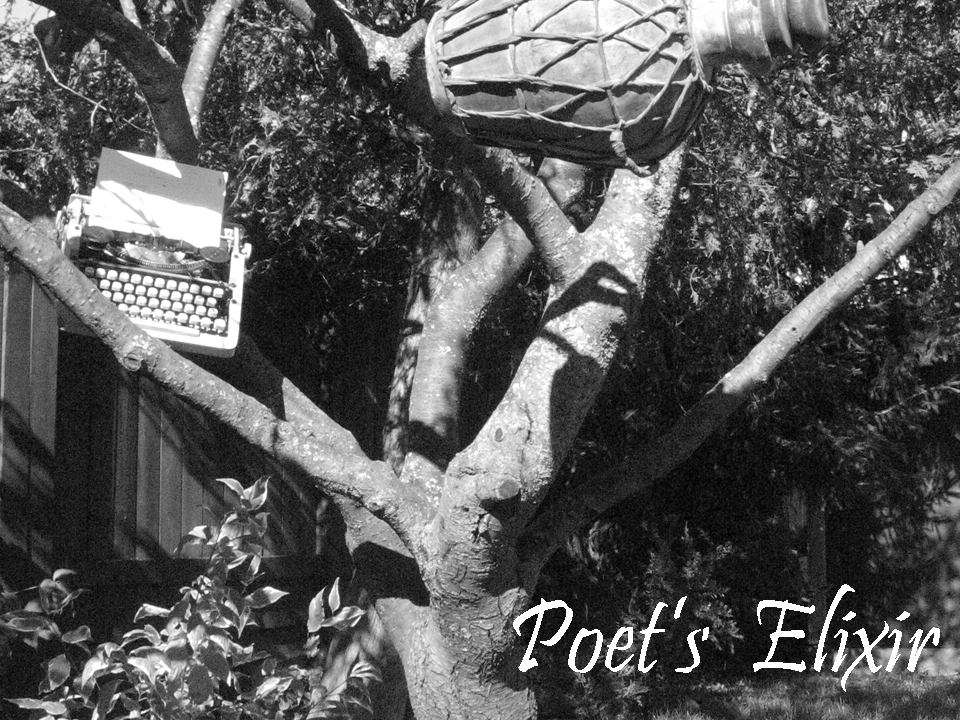 Poet's Elixir