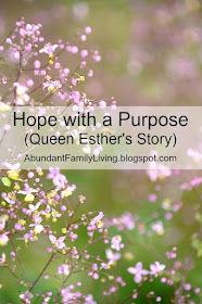 Stories of Hope Bible Study Series