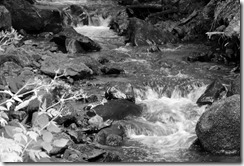 Puy Sancy (115)