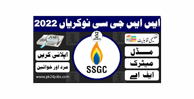 SSGCL Jobs 2022 – Pakistan Jobs 2022