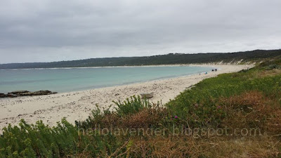 Hamelin Bay