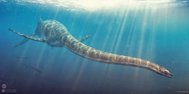 bò sát biển Plesiosaurus