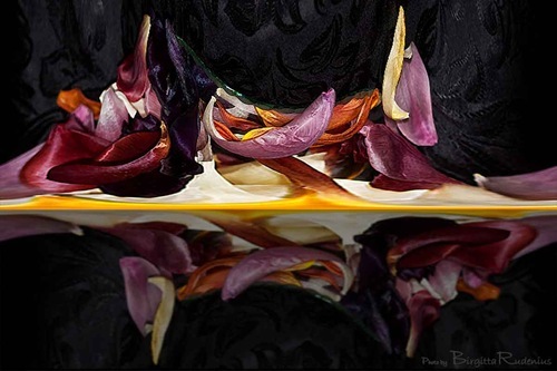pm_20110203_mO_blad2