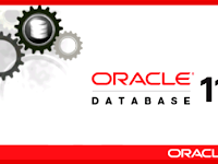 Oracle Database 11g Release 2 (11.2.0.1.0) for Microsoft Windows (x64)