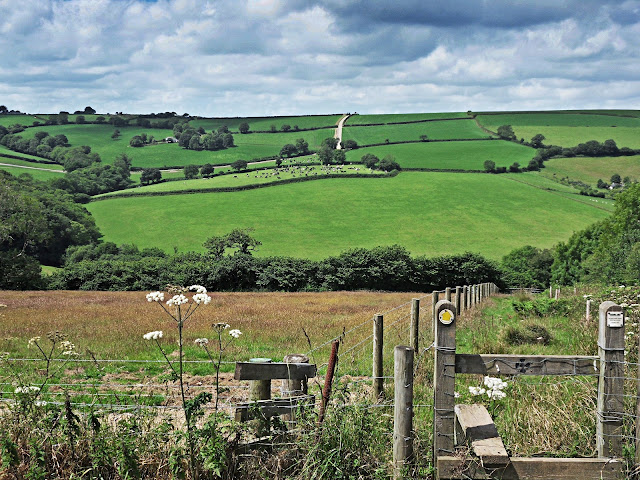 Beautiful views across the fields near Golant, Cornwall