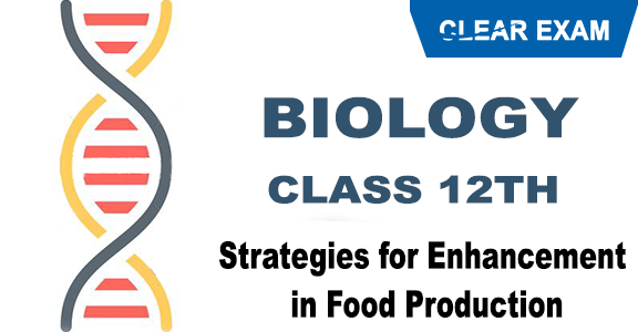 Strategies for Enhancement in Food Production