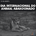  Hoje é o Dia Internacional do Animal Abandonado