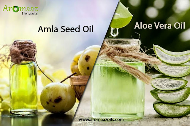 amla-seed-oil-and-aloe-vera-oil