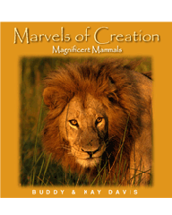 marvels-mammals