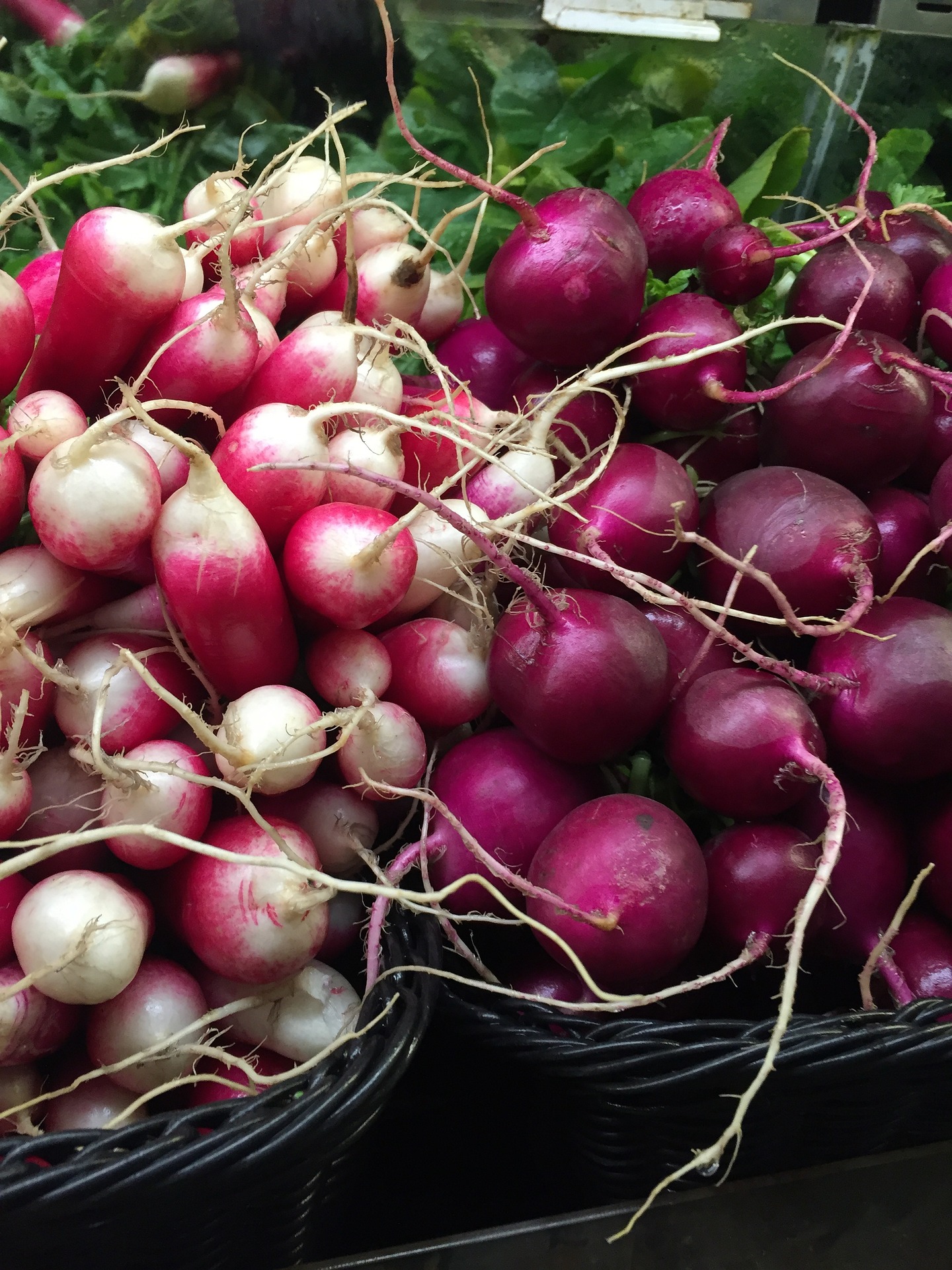 Radish (Raphanus sativus) is a root vegetable known for its crisp texture and peppery flavor. Available in various shapes, sizes, and colors, such as red, white, or black, radishes are characterized by their vibrant, edible roots and often green, leafy tops.