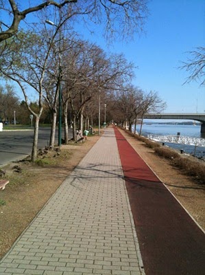 20100403-IMG_0319-2
