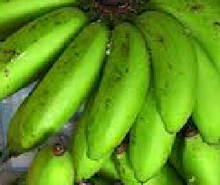 Anim Agro Technology: PISANG : VARIETI DI MALAYSIA (Part 4)