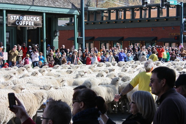 Trailing of the Sheep Festival