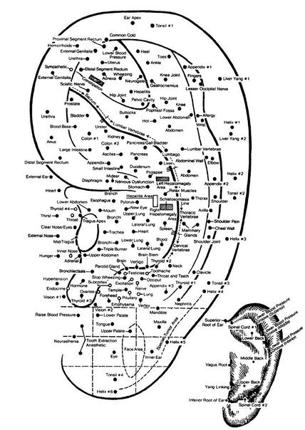 Acupuncture For Back Pain & Sciatica